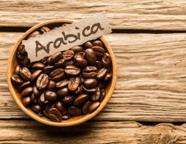 Arabica