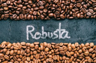 Robusta